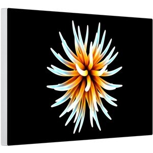 Apple Pro Display XDR 32 Zoll Class 6K LCD-Monitor - 16:9 Format - Silber - 81,3 cm (32 Zoll) Viewable - IPS-Technologie (