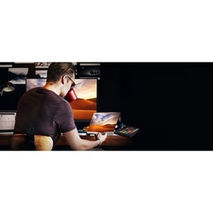 BenQ Photographer SW321C 32" Class 4K LCD Monitor - 16:9 - Grey - 81.3 cm (32") Viewable - In-plane Switching (IPS) Techno