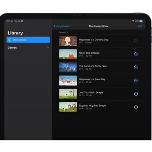 Apple iPad Pro (3rd Generation) Tablet - 27,9 cm (11 Zoll) - M1 Octa-Core - 8 GB RAM - 256 GB - iPadOS 14 - Grau - Apple M