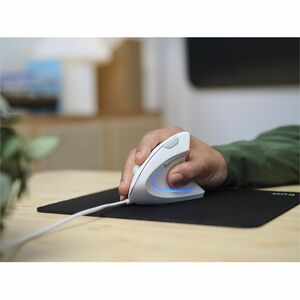 Trust Verto Maus - USB 2.0 - Optisch - 6 Taste(n) - Weiß - Kabel - 1600 dpi Auflösung - Scroll-Rad - Groß Hand-/Handfläche