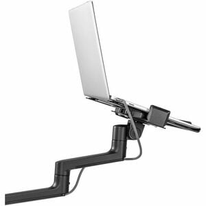 Neomounts Desk Mount for Notebook - Black - Height Adjustable - 1 Display(s) Supported - 29.5 cm to 43.9 cm (17.3") Screen