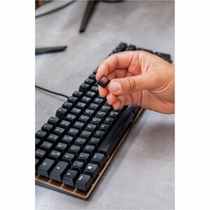 Clavier CHERRY KC 200 MX - Câble Connectivité - USB 2.0 Type A Interface - Français - Noir, Bronze - Mécanique/MX Pavé Num