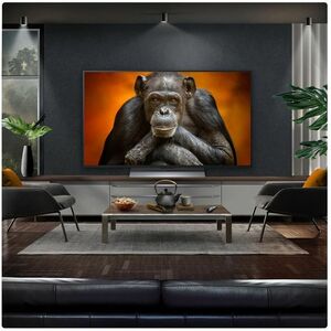 LG G5 OLED48G56LS 121.9 cm Smart OLED TV - 4K UHDTV - Apple HomeKit Supported - webOS 25 - Dolby Digital, Dolby Atmos, AI 