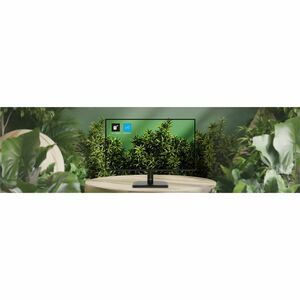 MSI Pro MP251L E2 25" Class Full HD LCD Monitor - 16:9 - 62.2 cm (24.5") Viewable - In-plane Switching (IPS) Technology - 