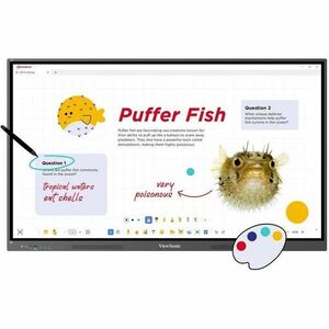 ViewSonic ViewBoard IFP7534 1905 mm 4K UHD LCD Écran de collaboration - 8 Go DDR4 SDRAM - Ultra Fine Touch (UFT) - Écran t