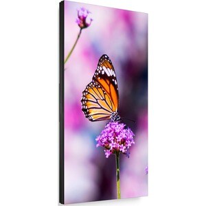 NEC Display MultiSync UN552VS 1397 mm LCD Digital Signage Display - Super In-plane Switching (S-IPS) Technology - 1920 x 1