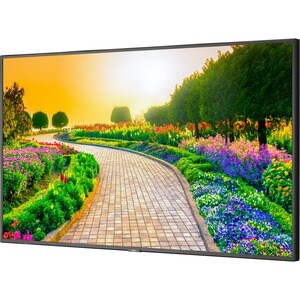 NEC Display 43" Ultra High Definition Professional Display - 43" LCD - High Dynamic Range (HDR) - 3840 x 2160 - 16:9 - 8 m