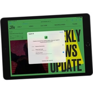 IPAD WI-FI CL 256GB SPG-BRA