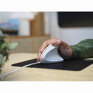 Trust Verto Maus - USB 2.0 - Optisch - 6 Taste(n) - Weiß - Kabel - 1600 dpi Auflösung - Scroll-Rad - Groß Hand-/Handfläche