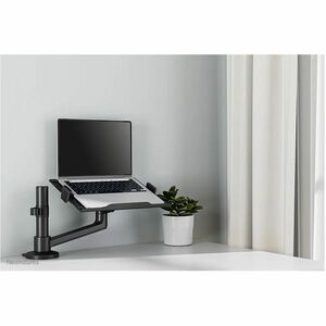 Neomounts Desk Mount for Notebook - Black - Height Adjustable - 1 Display(s) Supported - 29.5 cm to 43.9 cm (17.3") Screen