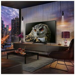 LG evo C4 OLED65C46LA 165.1 cm Smart OLED TV - 4K UHDTV - Alexa Supported - webOS 24 - Dolby AC-4, Dolby AC3, Dolby Digita