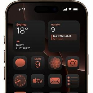 iPhone 16 Pro Max 256GB Desert Titanium