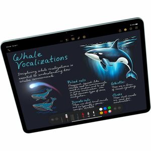 Apple iPad Air 13 (2025) Tablet - 13" - 8 GB - 128 GB Storage - Blue - M3 Octa-core (8 Core) - 2732 x 2048 - In-plane Swit