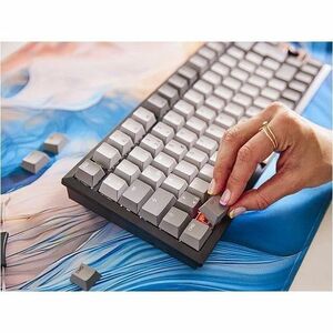 CHERRY G80-3960 Keyboard - Compact - Wired/Wireless Connectivity - USB Interface - Black, Grey - MX2A Brown Keyswitch - Bl