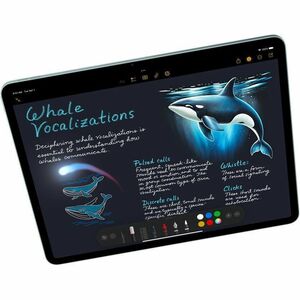 Apple iPad Air 11 (2026) Tablet - 27.9 cm (11") - 12 GB - 256 GB Storage - 5G - Blue - M4 Octa-core (8 Core) - 500 cd/m² -