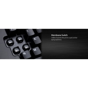 Adesso 2.4 GHz Wireless Ergonomic Trackball Keyboard - Wireless Connectivity - RF - 30 ft - 2.40 GHz - USB Interface - 105