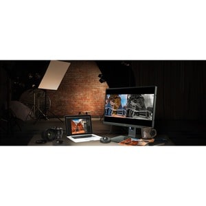 BenQ Photographer SW321C 32" Class 4K LCD Monitor - 16:9 - Grey - 81.3 cm (32") Viewable - In-plane Switching (IPS) Techno