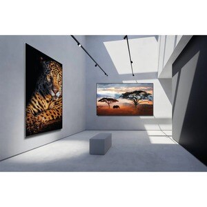 Samsung QP75A-8K 1905 mm LCD Digital Signage Display - 16 Hours/ 7 Days Operation - Vertical Alignment (VA) - High Dynamic