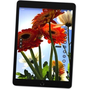 Tableta Apple iPad (9th Generation) A2602 - 25.9cm (10.2") - Apple A13 Bionic Hexa-core (6 núcleos) - 64GB Almacenamiento 