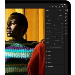 Apple iPad Pro (7th Generation) A2925 Tablet - 33 cm (13") - Apple M4 - 16 GB - 1 TB Storage - Space Black - M4 Deca-core 