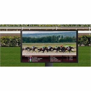 LG 55'' FHD IP Rated Outdoor Display with Anti-Discoloration Technology - 55" - In-plane Switching (IPS-M+) Technology - 2