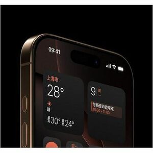 Apple iPhone 16 Pro A3294 1 TB 智能电话 - 16 cm (6.3") OLED 2622 x 1206 - 六核（6 核） - 8 GB RAM - 5G - 条 - Apple A18 Pro (3 nm) S