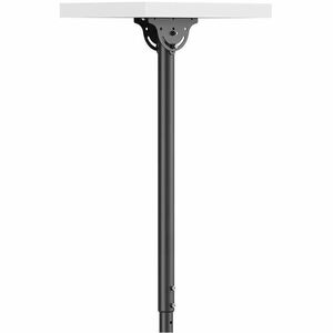 Neomounts Ceiling Mount for TV - Black - Height Adjustable - 2 Display(s) Supported - 58.4 cm to 109.2 cm (43") Screen Sup