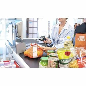 Datalogic Gryphon GBT4500 Light/Clean Manufacturing, Retail, Healthcare, Transportation Handheld Barcode Scanner - Wireles
