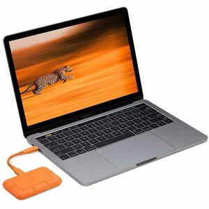 Seagate Robust Solid State-Laufwerk - 2,5" Extern - 4 TB - PCI Express NVMe - USB-Typ C
