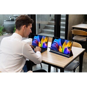 Asus ZenScreen MQ16AH 16" Class Full HD OLED Monitor - 16:9 - 15.6" Viewable - OLED - 1920 x 1080 - 1.073 Billion Colors -