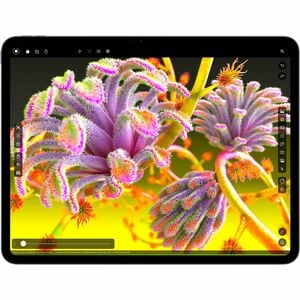 Tablette Apple iPad Pro (7th Generation) A2925 - 33 cm (13") - Apple M4 - 8 Go - 256 Go Stockage - Noir - M4 4,40 GHz - 27
