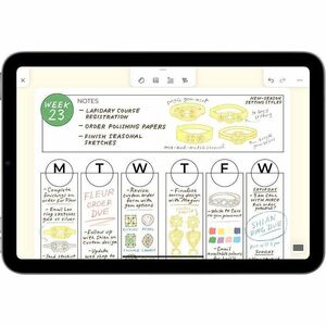 iPad mini Wi-Fi + Cellular 256GB - Space Grey