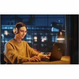 MSI VenturePro A16 AI+ A3HWFTG-004U 16" Copilot+ PC Notebook - AMD Ryzen AI 9 365 - 32 GB - 1 TB SSD - AMD Chip - Windows 