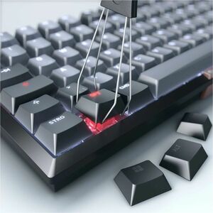 CHERRY G80-3960 Keyboard - Compact - Wired/Wireless Connectivity - USB Interface - Black, Grey - MX2A Brown Keyswitch - Bl