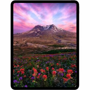13-inch iPad Pro Wi‑Fi 256GB with standard glass - Space Black