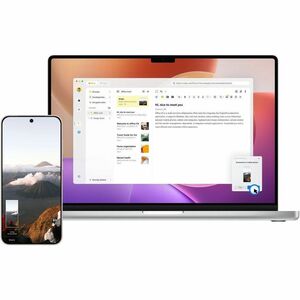 Vivo X300 256 GB Smartphone - 16 cm (6,3 Zoll) LTPO AMOLED HDR10+ 2640 x 1216 - Octa-Core (Single-Core 4,21 GHz Triple-Cor