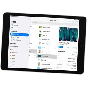 Apple iPad (9th Generation) A2602 Tablet - 10.2" - Apple A13 Bionic Hexa-core - 256 GB Storage - iPadOS 15 - Space Gray - 