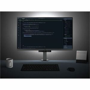 BenQ RD320UA 32" Class 4K UHD LED Monitor - 16:9 - 31.5" Viewable - In-plane Switching (IPS) Technology - LED Backlight - 