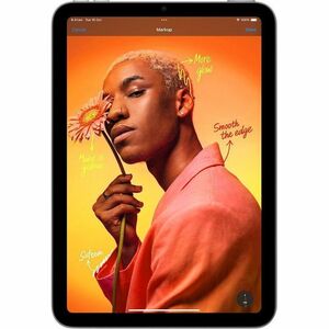 iPad mini Wi-Fi + Cellular 256GB - Space Grey