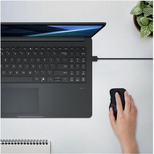 Asus ExpertBook B1 B1503 B1503CVA-S71955 39.6 cm (15.6") Notebook - Full HD - Intel Core i5 13th Gen i5-1335U - 8 GB - 512