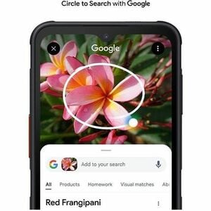 Samsung Galaxy XCover7 Pro SM-G766B 128 GB Rugged Smartphone - 16.8 cm (6.6") LCD Full HD Plus 1080 x 2408 - Octa-core (Co