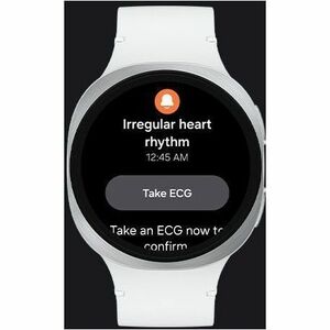 Samsung Galaxy Watch8 SM-L335F Smart Watch - 1168.40 mm Case Height - 1109.98 mm Case Width - Silver Case Color - White Ba