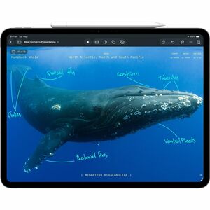 Apple iPad Pro (8th Generation) Tablet - 13" - 16 GB - 2 TB Storage - iPadOS 26 - Space Black - M5 Deca-core (10 Core) - 1