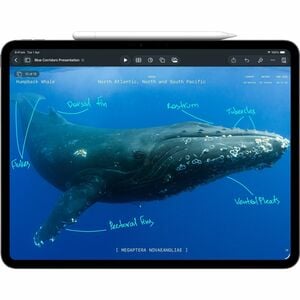 13-inch iPad Pro (M5) Wi-Fi + Cellular 1TB with standard glass - Space Black
