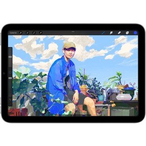 Apple iPad mini (6th Generation) Tablet - 21,1 cm (8,3 Zoll) - Hexa-Core (A15 Bionic Dual-Core 2,93 GHz Quad-Core) - 4 GB 