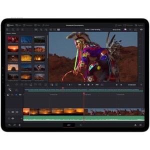 Apple iPad Pro (4th Generation) Tablet - 27.94 cm (11") - Apple M2 Octa-core - 16 GB - 1 TB Storage - iPadOS 16 - Space Gr