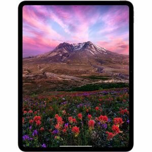IPAD PRO 13 WF CL 256GB SILVER