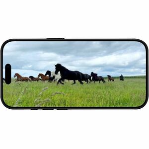 iPhone 16 Pro 256GB Titan Schwarz