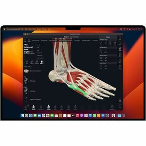 Apple MacBook Pro MW2W3KS/A 36.1 cm (14.2") Notebook - Apple M4 - 16 GB - 512 GB SSD - Finnish, Swedish Keyboard - Silver 