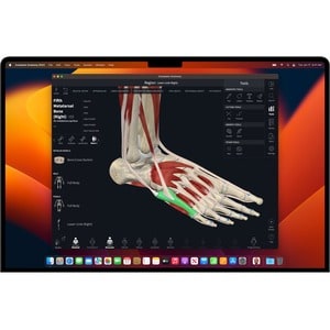 16-inch MacBook Pro: Apple M5 Max chip with 18#core CPU and 32#core GPU 36GB 2TB SSD - Silver